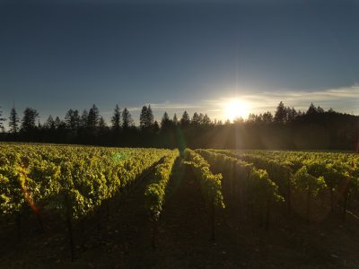 La Jota Vineyard Co. - Howell Mountain Estate