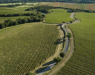 Pian delle Vigne - Marchesi Antinori