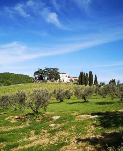 Tenuta Mocenni - Bindi Sergardi